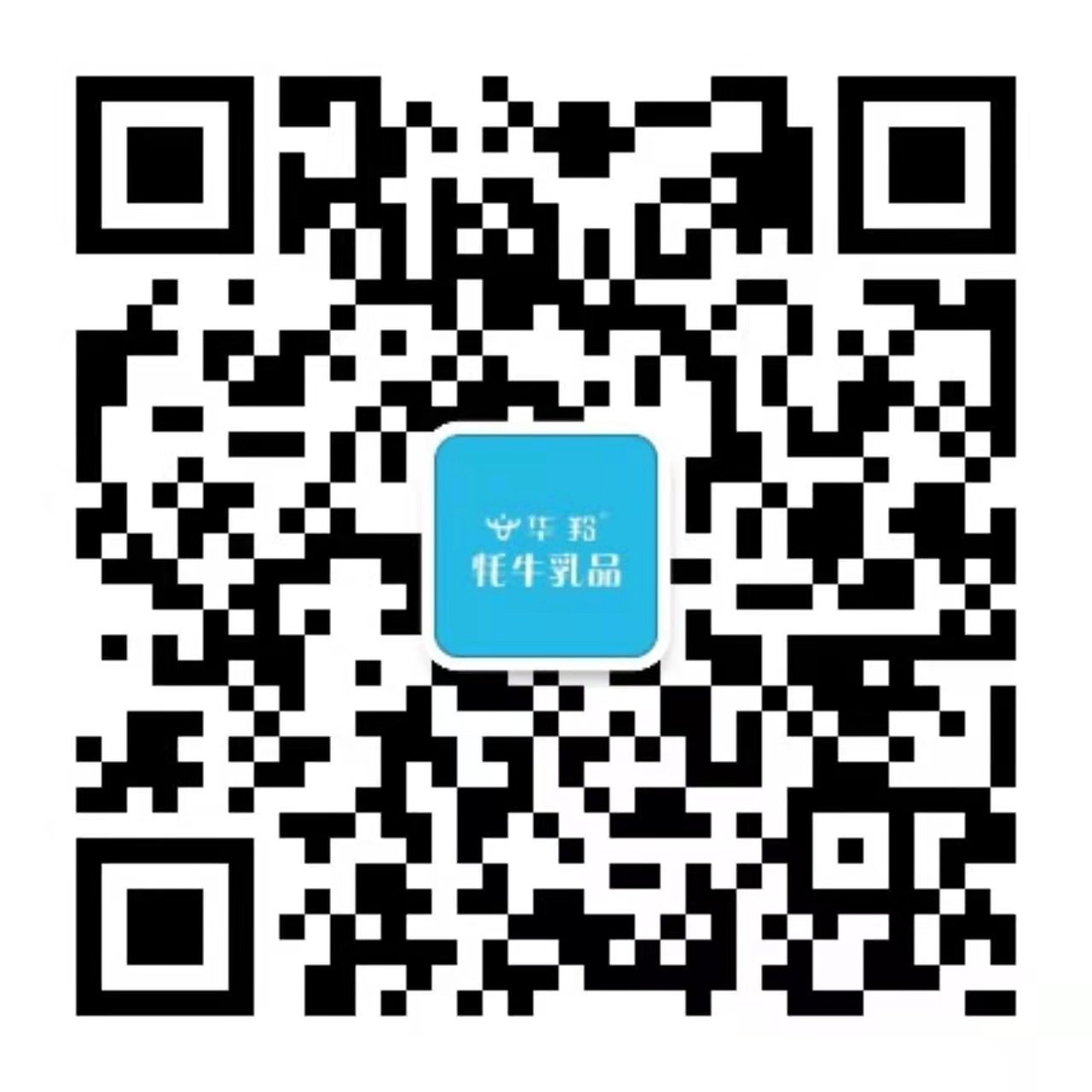 bob官方体育